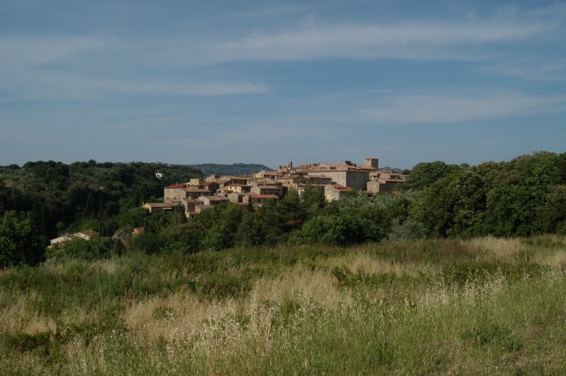 BIBBONA CAMPAGNA